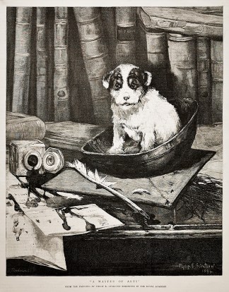 “A Master of Arts” Dogs