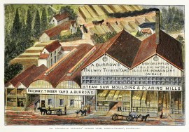 Mr. Archibald Burrow's Timber Yard, Barkly-Street, Footscray.