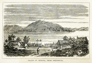 Island of Mokoia, from Ohinimutu. North Island