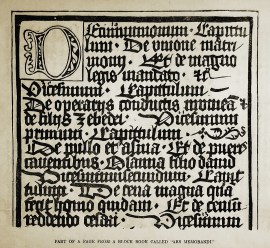 Part of a page from the block book 'Ars memorandi'