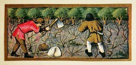 [untitled] Calligraphy / illuminations