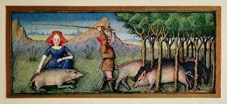 [untitled] Calligraphy / illuminations