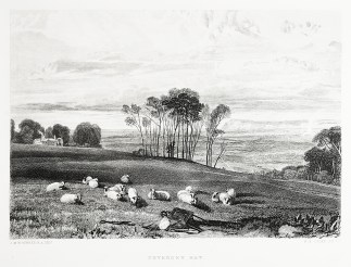 Pevensey Bay. England