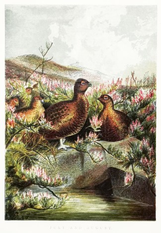 July and August. General / Global