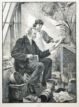 Seedtime. Gardening, Garden Design