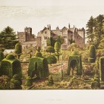 Gardening, Garden Design