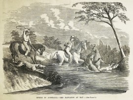 Sports in Australia-The Kangaroo at Bay. General - Australiana