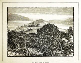 Long Island, Akaroa, New Zealand. NEW ZEALAND