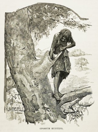 Opossum Hunting. First Nations History