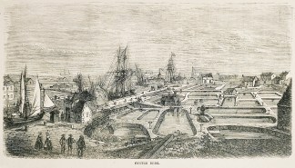 Oyster beds. Shells & Coral