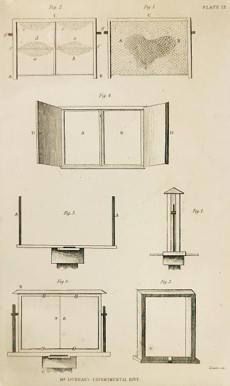 Mr. Dunbar’s Experimental Hive. Insects & Arachnids