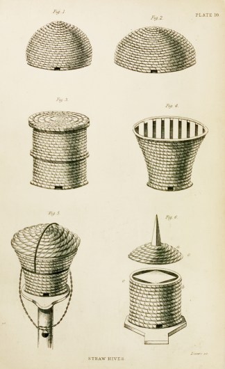 Straw Hives Insects & Arachnids