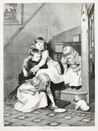 A Pampered Morsel. General / Global