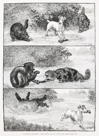 The Bone of Contention, “When Thie… General / Global