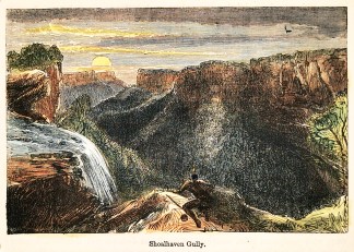 Shoalhaven Gully. Regional