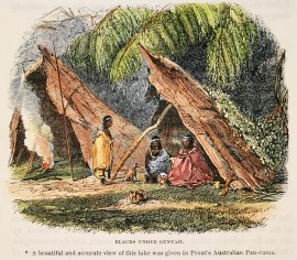 Blacks under Gunyah.