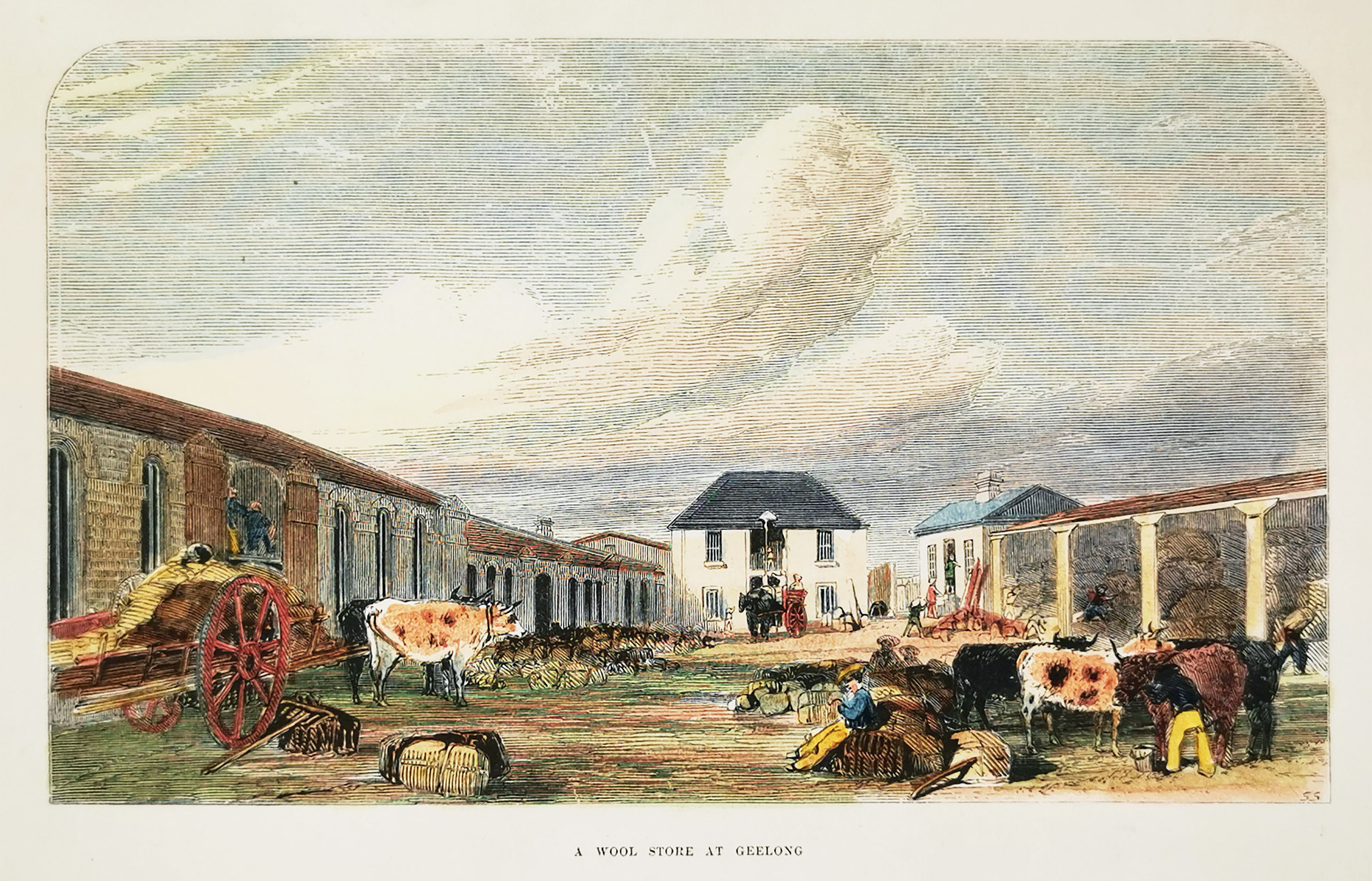 A Wool Store at Geelong - Antique Print from 1854