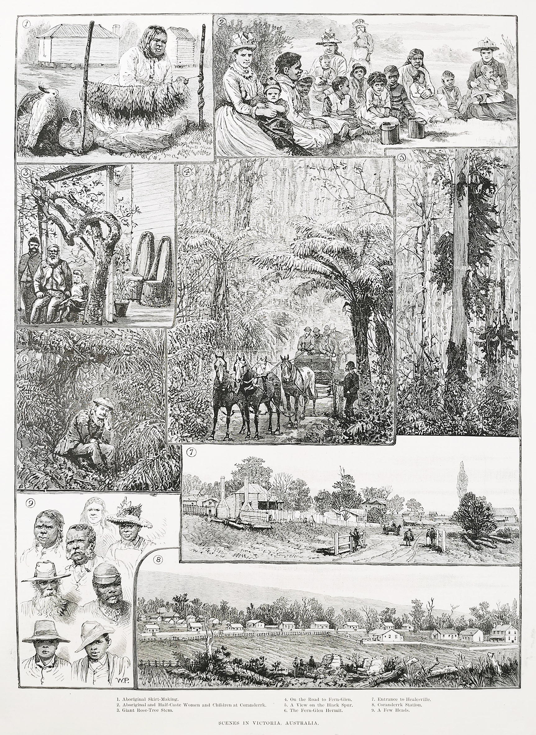 Scenes in Victoria, Australia. - Antique Print from 1889