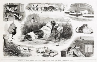 Which is our Best Friend, the Taxed Dog … General / Global