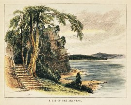 A Bit of the Derwent Tasmania