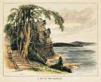 A Bit of the Derwent Tasmania