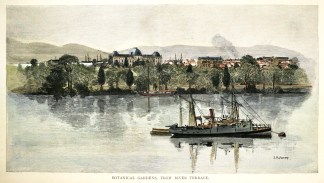 Botanical Gardens, from River Terrace. Queensland