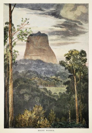Mount Wyneck. Queensland