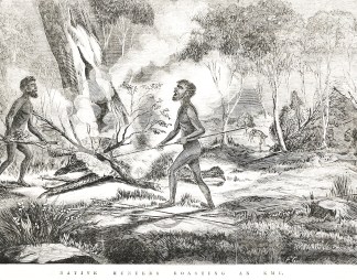 Native Hunters Roasting an Emu. First Nations History