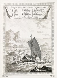 Balse, dans Toutes ses Proportions...