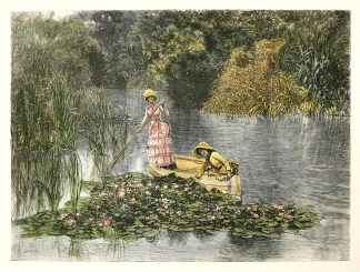 A Lily-Pool, Mount Macedon, Victoria Regional