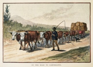 On the Road to Camperdown. Australiana (General)