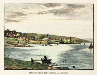Geelong from the Botanical Gardens Regional