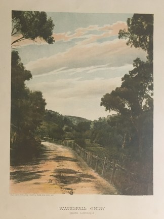 Waterfall Gully South Australia Adelaide