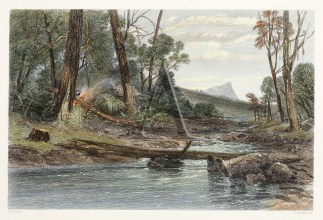 Source of the Derwent, Tasmania. Tasmania