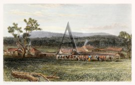 A Home in the Bush. General - Australiana