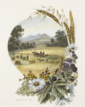 Near the You Yangs. Acquisitions Maps & Prints