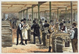 A Sample Room at the Wool Palace of Messrs. R. Goldsbrough & Co., Limited, Darling Harbour.