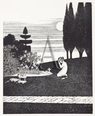 The bird’s funeral. Australian