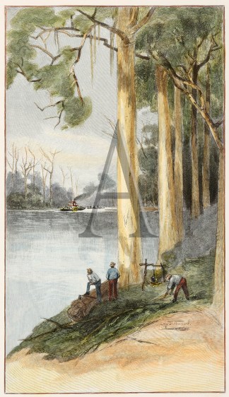 The Goulburn River. Australiana (General)