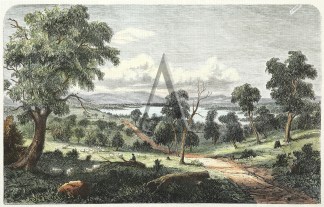 The Yan Yean Reservoir, from the Woodsto… Regional