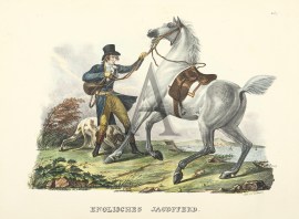 Englishches Jagpferd. (English Hunter)