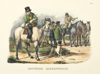 Deutsche Bauernpferde. Equestrian