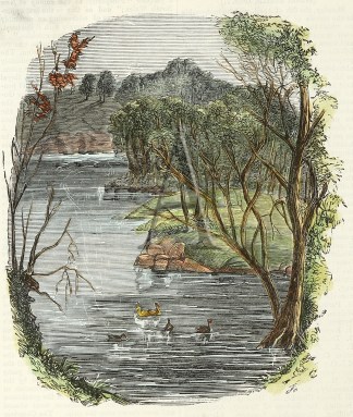 View on the Yarra Yarra. Regional