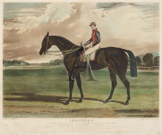 Industry. Winner of the Oaks Stakes ( Va… Equestrian