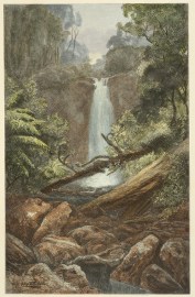 Erskine Falls, Lorne.