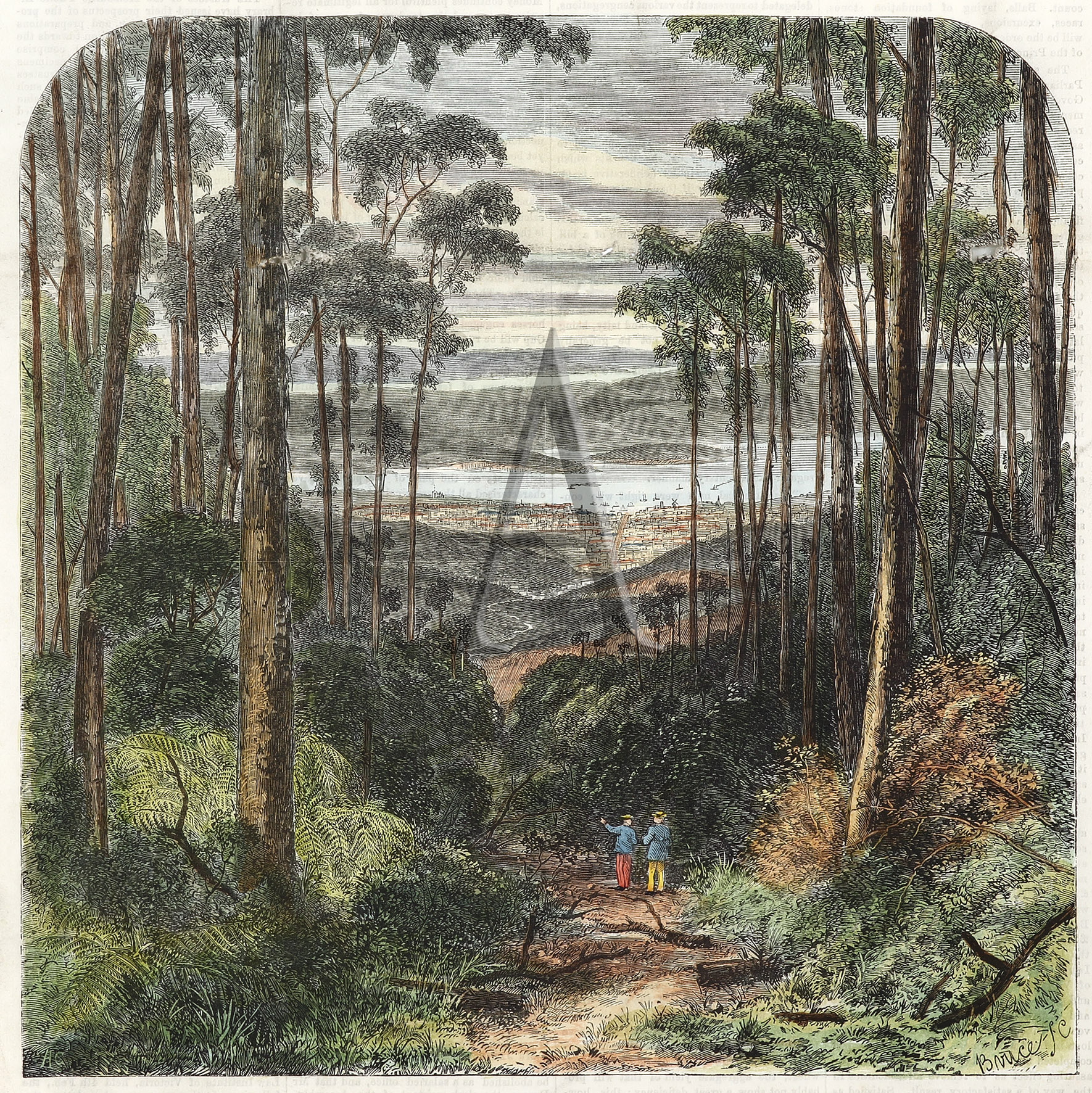 Hobart Town, from Mount Wellington. - Antique View from 1869