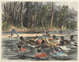 Rev. W.G. Lawes’s Exploring Party … PACIFIC