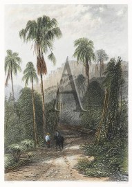 Mount Kiera, New South Wales. NSW - Country Mount Kiera, New South Wales.