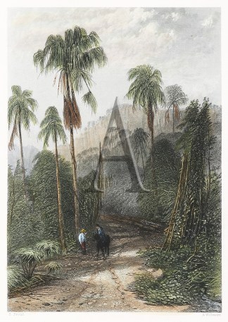 Mount Kiera, New South Wales. Regional