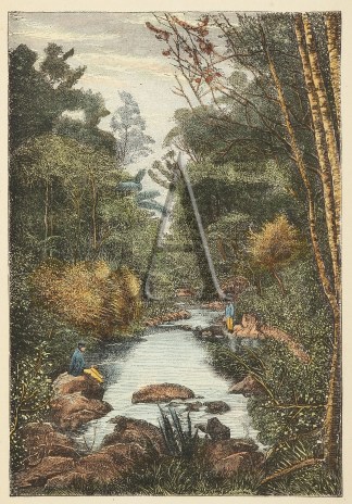 A Creek, in New Zealand. NEW ZEALAND
